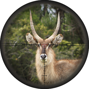 temba-safaris-south-africa-game-hunting