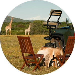 temba-safaris-south-africa-adventure